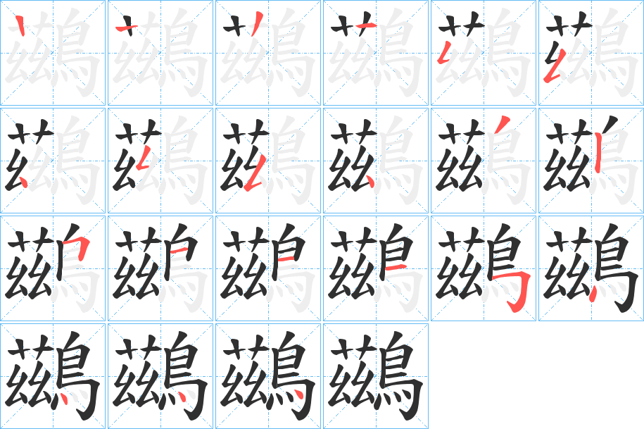 鷀的笔顺分步演示图