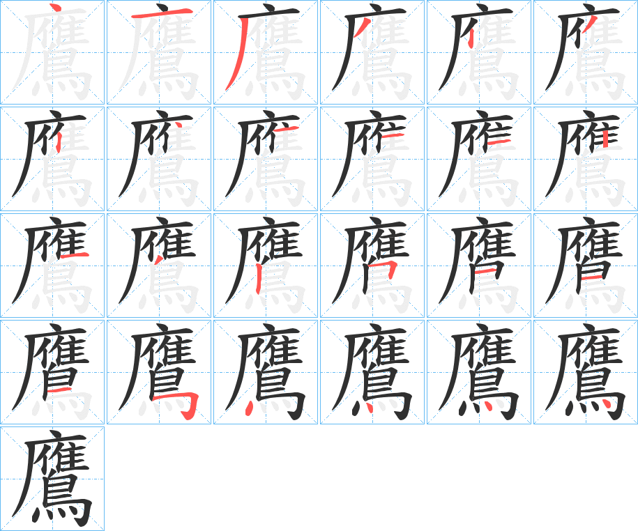 鷹的笔顺分步演示图