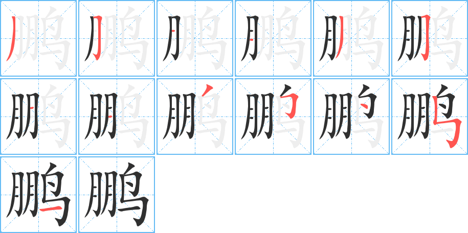 鹏的笔顺分步演示图