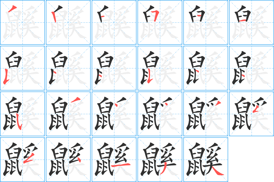 鼷的笔顺分步演示图